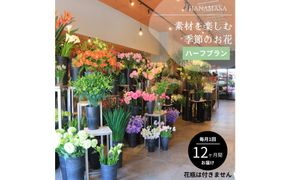 素材を楽しむ季節のお花＊ハーフ＊(全12回)| 花 記念 誕生日 サプライズ ギフト プレゼント 神奈川県 小田原市  142069_BN055