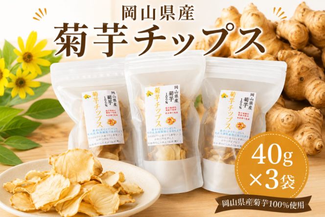 岡山県産 菊芋チップス (40g×3袋) 菊芋 チップス 乾燥菊芋 国産 おやつ おつまみ スナック