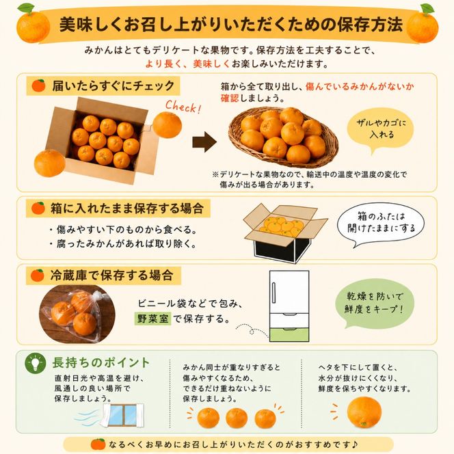【2026年12月中旬～発送】【訳あり】家庭用 南高みかん 10kg / みかん ミカン 蜜柑 果物 フルーツ / 南島原市 / 南高果樹農業協同組合[SGI002]