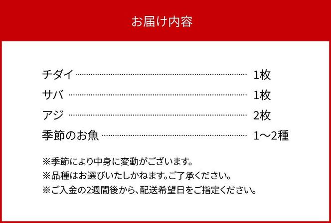 干物セットA　N014-YZA582