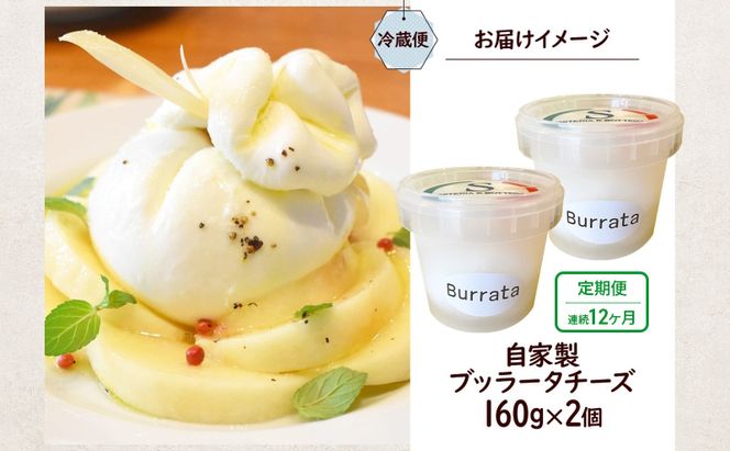 12ヶ月定期便 自家製チーズ ブッラータチーズ160g 2個 出来立て 神奈川県産 幻のチーズ ブッラータ 手作り Osteria e Bottega S 神奈川県 湘南 茅ケ崎 フレッシュチーズ  おつまみ ピザ 神奈川県 茅ヶ崎市