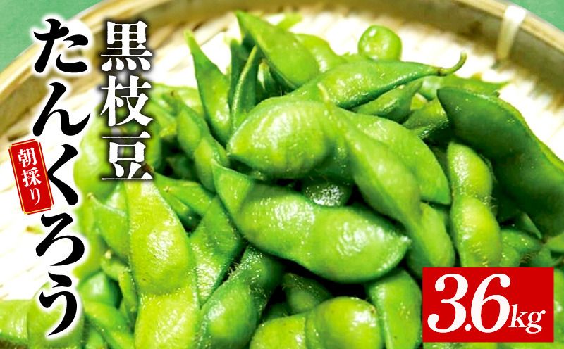 [先行予約]朝採り直送 黒枝豆 3.6kg [新鮮 野菜 泉佐野産 えだまめ やさい おつまみ TONOファーム 高評価]