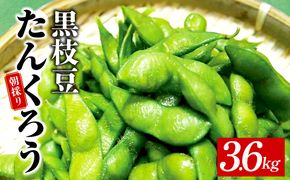 010B141 【先行予約】黒枝豆 3.6kg 【新鮮 野菜 泉佐野産 えだまめ やさい TONOファーム 高評価 数量限定 畑から直送 朝採り】
