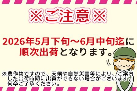数量限定【2026年発送】＜宮崎県産 スイートコーン 約4.5kg＞2026年5月下旬～6月中旬迄に順次出荷【 先行予約 穀物 野菜 甘い 季節限定 とうもろこし おやつ ご飯 スープ サラダ BBQ 屋台 】【a0038_ja】