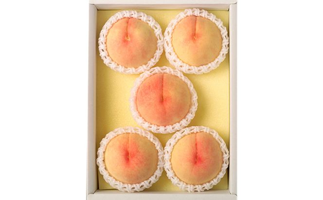 桃 2026年 先行予約 岡山 白桃（品種：おかやま夢白桃／白麗）5～7玉 合計1.5kg以上 もも モモ 岡山県産 国産 フルーツ 果物 ギフト 環山堂 上品 甘み 香り 贈り物 果実 柔らかい 多汁 