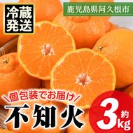 ＜先行予約受付中！2026年4月上旬以降順次発送予定＞数量限定！冷蔵不知火「クールな大将季」(計約3kg) 国産 みかん ミカン 柑橘 フルーツ 果物 旬 デザート 数量限定 阿久根市産 露地 しらぬい シラヌイ 冷蔵 期間限定 クール【三笠農業生産】a-17-21-z