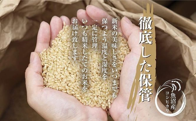【令和7年産】 魚沼産 コシヒカリ 2kg 精米 農家のこだわり 新潟県 十日町市 お米 こめ 白米 コメ 食品 人気 おすすめ 送料無料 ご飯 ブランド米 銘柄米
