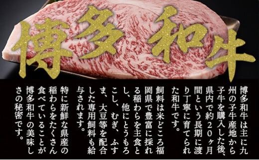 訳あり 博多和牛 サーロイン ステーキ 250g×20枚 計5kg [MEAT PLUS 福岡県 宇美町 um40azp010024] セット 牛肉 サーロインステーキ 肉 和牛