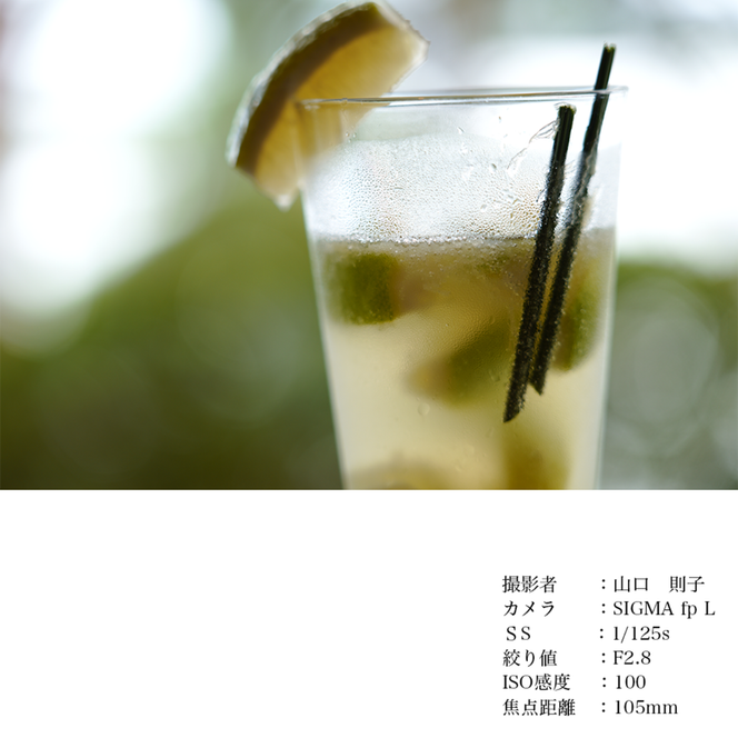 SIGMA 28-105mm F2.8 DG DN | Art【Lマウント】（数量限定）