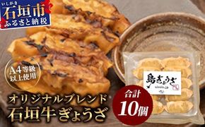 ≪餃子≫ 石垣牛 ぎょうざ 10個【 石垣牛 ぎょうざ 餃子 焼き餃子 水餃子 焼餃子 石垣牛 沖縄県 石垣市 】GS-1