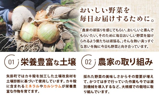 矢掛町産 訳あり 玉ねぎ たまねぎ 選べる内容量 大きさ不揃い 訳ありたまねぎ《5月末～7月中旬頃に出荷予定》 約 2kg or 約 5kg or 約 10kg 野菜 岡山県 矢掛町---ofn_ytn_e57_25_4500_2---