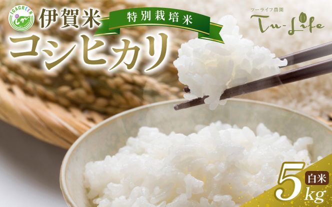 特別栽培米・伊賀米コシヒカリ 5kg tuli0001