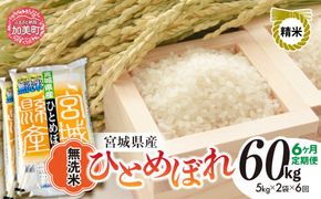 【6回定期便】R7 宮城県産 ひとめぼれ 無洗米 10kg×6回 [ 宮城県 加美町 菅原精米 ] 米 こめ コメ ご飯 sw-hb10-mu-t6-r7