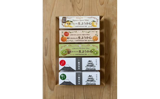 小田原老舗和菓子店の手づくりようかん5本セット【和菓子店　手づくりようかん5本セット レモンようかん　フルーツようかん 足柄茶ようかん 本練ようかん キウイようかん みかんようかん 神奈川県指定銘菓 神奈川県 小田原市 】 142069_FB007