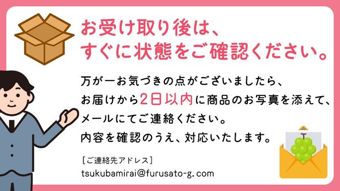 ＼ 選べる回数 ／ 【定期便】フルーツセット（3回 / 6回 / 12回）（茨城県共通返礼品） 茨城県 県産 つくばみらい市 人気 厳選 果物 くだもの 旬 旬の果物 旬のフルーツ 上級品 極上 贅沢 極み フルーツ フルーツセット ギフト プレゼント