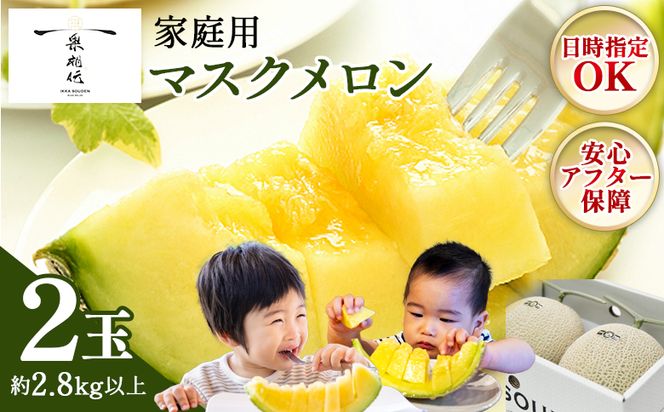メロン 2玉入り 【発送開始】 マスクメロン 家庭用メロン 国産メロン 青肉メロン  フルーツ メロン 果物 デザート メロン tn-0025