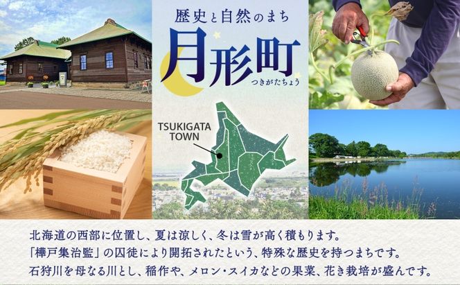 【令和8年産先行予約】北海道 定期便 隔月5回 令和8年産 ななつぼし 無洗米 5kg×2袋 特A 米 白米 ご飯 お米 ごはん 国産 ブランド米 時短 便利 常温 お取り寄せ 産地直送 送料無料 月形 