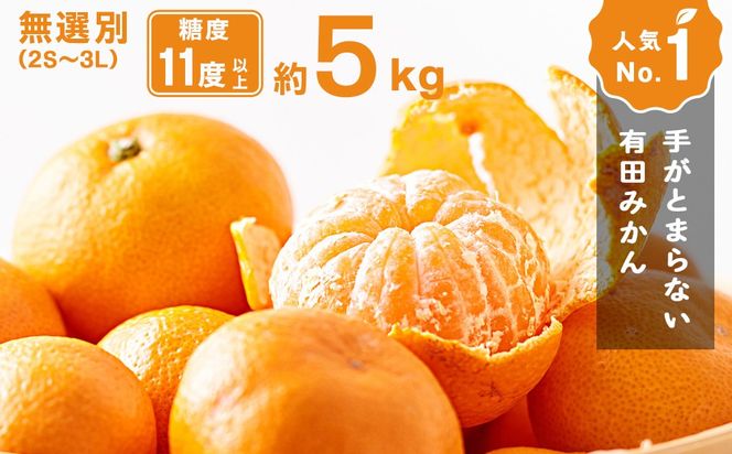 手が止まらない 訳あり 有田みかん 約5kg 大きさ無選別（2S〜3L） 糖度11度以上 鳴川農園 ［2026年11月以降発送予定］ FD02