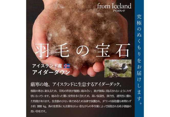 【甲州羽毛ふとん】合掛けシルクジャガード手選別アイダーダウン【選べるサイズ】シングル/セミダブル/ダブル/クイーン/キング  羽毛ふとん 掛け布団 シルクジャガード 合掛け 布団 アイダーダウン 山梨 富士吉田