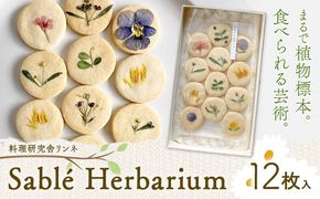 Sable Herbarium 12枚入り 料理研究舎リンネ《30日以内に出荷予定(土日祝除く)》熊本県 南阿蘇村 サブレハーバリウム サブレ グルテンフリー 米粉 エディブルフラワー カモミール クッキー 焼菓子 焼き菓子 お菓子 贈り物 プレゼント ギフト---mna_rkrsahebrm_r7_30d_8000_12p---