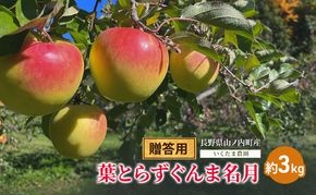 【2026年11月発送】贈答用 葉とらずぐんま名月　約3kg リンゴ りんご フルーツ 果物 お取り寄せ 長野県 山ノ内町
