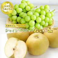 シャインマスカット2房と梨5個【茨城県共通返礼品　かすみがうら市産】果物 くだもの フルーツ ぶどう ブドウ 葡萄 なし 梨 冷蔵 クール便　※2025年8月上旬～10月下旬頃に順次発送予定