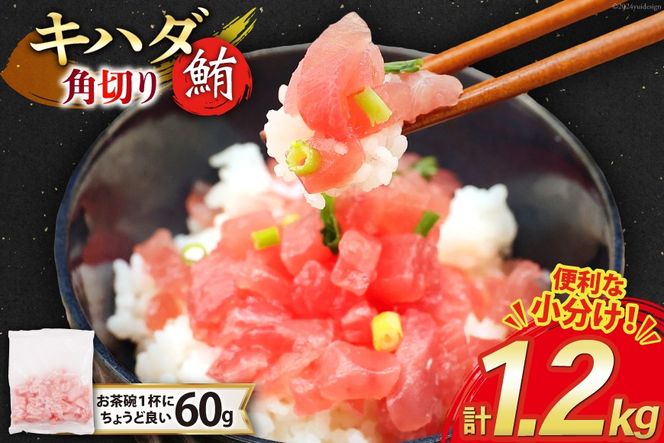 マグロ 天然 キハダマグロ 角切り 60g 20パック 計1.2kg 冷凍 小分け [トライ産業 静岡県 吉田町 22424416-a] まぐろ 鮪 maguro 海鮮 海鮮丼