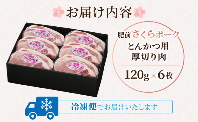 肥前さくらポークとんかつ用 120g×6枚 B-422