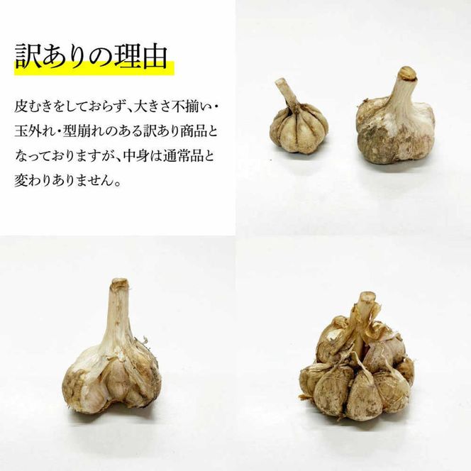 訳あり 平戸にんにく 約1kg 〈2026年6月10日～2026年10月31日〉乾燥 ニンニク 平戸にんにく 訳アリ わけアリ 不揃い 型崩れ 自然乾燥 大量 大容量 常温 配送 数量限定 高知県産 高知県 土佐市【株式会社 植田ファーム】[BQAT006]