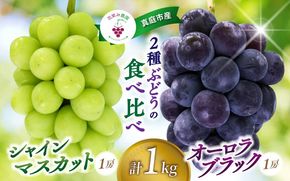 【2026年先行予約】岡山 花笑み農園の『シャインマスカット＆オーロラブラック』 1㎏（2房） 【hana067-02】