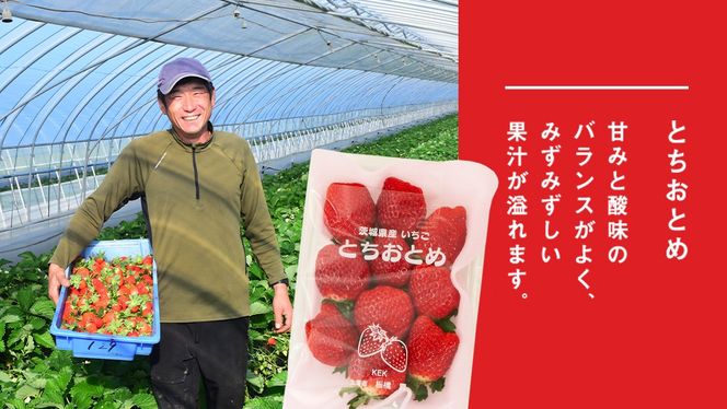 完熟 やよいひめ ・ とちおとめ 食べ比べ 2パック 先行予約 大粒 イチゴ 苺 いちご フルーツ 果物 [AF060ci]