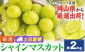 【土日着便】シャインマスカット 約2kg(3-5房)【配送不可地域あり(離島)】《2026年9月上旬-11月上旬頃出荷》岡山県 笠岡市 シャインマスカット 厳選 ぶどう ブドウ 葡萄 マスカット 果物 フルーツ ギフト---kasaoka_zsy_419_2000-hd---