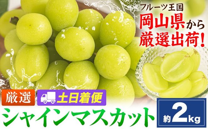 【土日着便】シャインマスカット 約2kg(3-5房)【配送不可地域あり(離島)】《2026年9月上旬-11月上旬頃出荷》岡山県 笠岡市 シャインマスカット 厳選 ぶどう ブドウ 葡萄 マスカット 果物 フルーツ ギフト---kasaoka_zsy_419_2000-hd---