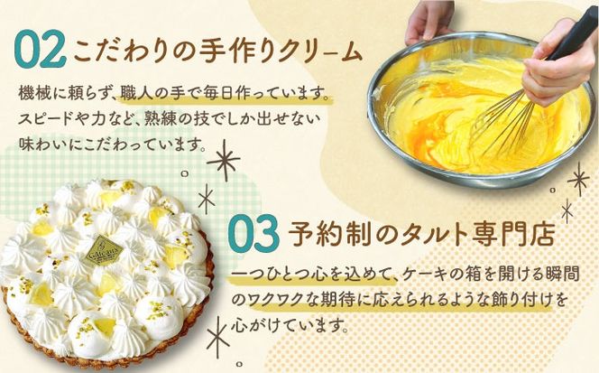 【2026年4月～発送】【こだわりのサクサクタルト】チョコミントのタルト / タルト チョコ ミント 18cm 南島原市 / アトリエジジ[SAA027]