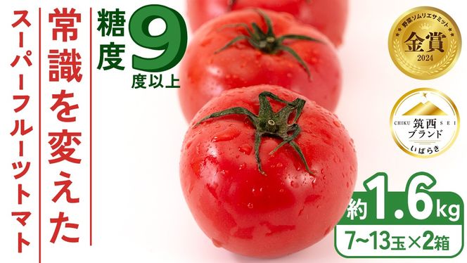 y錧}szX[p[t[cg}g  800g × 2 y7`13/1z 2026NY x9x ȏ g}g Ƃ܂ t[cg}g t[c  ₳ x [AF037ci]