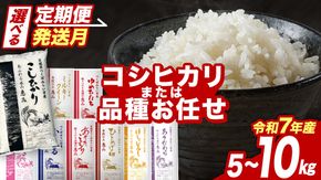 ＼選べる品種・発送時期 ／コシヒカリ・品種おまかせ・5kg 10kg 令和7年産米 定期便 茨城県つくばみらい市産 精米 こしひかり コシヒカリ あきたこまち ひとめぼれ ふくまる ゆめひたち ミルキークイーン にじのきらめき ほしじるし あきだわら 米 コメ こめ 単一米 限定 茨城県産 国産 美味しい お米 おこめ おコメ
