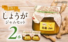 手づくり生姜ジャム 大瓶2本セット 【しょうがやさん】  自家製 愛知県産[AEAO002]