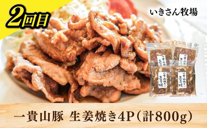 【全3回定期便】糸島・お肉定期便（お手軽コース） 毎月2-3人前[AAH017]