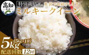 ミルキークイーン 定期便 12回 特別栽培米 ミルキークイーン ５ｋｇ 令和８年産 - 定期便 お米 米 白ご飯 ごはん 精米 お弁当 おにぎり おむすび 炊き込みご飯 美味しい 防災 非常食 高知県 香南市 Wsr-0007