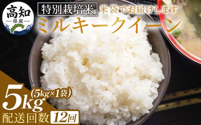ミルキークイーン 定期便 12回 特別栽培米 ミルキークイーン ５ｋｇ 令和８年産 - 定期便 お米 米 白ご飯 ごはん 精米 お弁当 おにぎり おむすび 炊き込みご飯 美味しい 防災 非常食 高知県 香南市 Wsr-0007