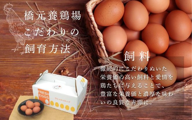 卵 【定期便】産みたて新鮮卵 30個入り 3か月 定期便 | 卵 たまご 玉子 鶏卵 新鮮 濃厚 生卵 赤玉たまご 目玉焼き オムレツ 健康 産地直送 ※沖縄・離島への配送不可【aubless023】 