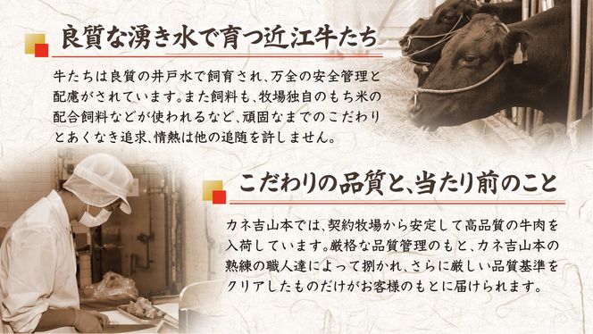 【カネ吉山本】近江牛[吟] ステーキ用 サーロイン【400ｇ（約 200g×2枚）】【Y021W1】（国産牛　和牛　ブランド牛　ブランド和牛　黒毛和牛　牛肉　肉　高級　人気　おすすめ　神戸牛　松阪牛 に並ぶ 日本三大和牛 近江牛）