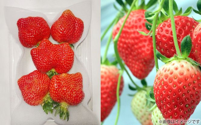 ytzy2026N3{`4{\z t̂܂ i2LE2AEGKiȏ 4pbNj v1000-1080g  