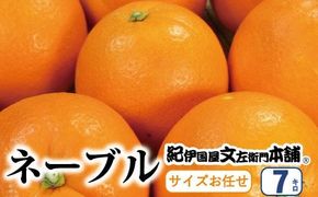 ネーブル 7kg サイズおまかせ　/ ネーブル オレンジ ネーブルオレンジ 蜜柑 みかん 柑橘 果物 フルーツ 紀伊国屋文左衛門本舗 ※2027年1月中旬～2月上旬頃順次発送予定(お届け日指定不可)　 【kmtb028-r-7A】