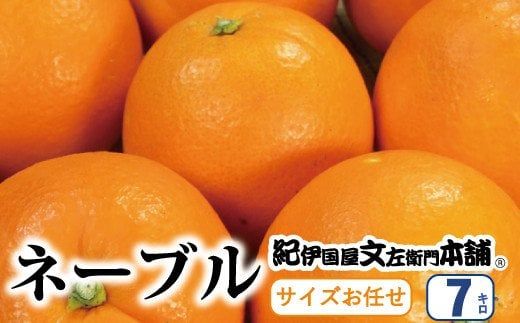 ネーブル 7kg サイズおまかせ　/ ネーブル オレンジ ネーブルオレンジ 蜜柑 みかん 柑橘 果物 フルーツ 紀伊国屋文左衛門本舗 ※2027年1月中旬～2月上旬頃順次発送予定(お届け日指定不可)　 【kmtb028-r-7A】