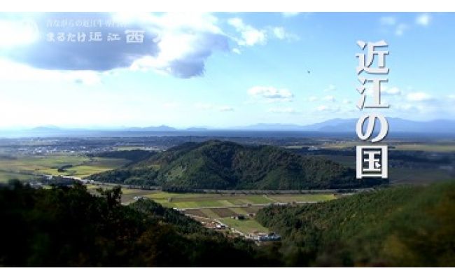 近江しぐれ　３種【300ｇ（100ｇ×3種類）】【N001W】（滋賀県　近江八幡市）
