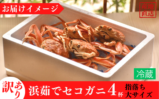 【訳あり 浜茹で セコガニ 香住産 大サイズ4匹入り】 冷蔵 カニの本場 香住 濃厚 ミソ やみつき 内子 外子 絶品 訳あり 指落ち 大人気  濃厚 香美町 柴山 山陰 日本海 国産 カニ ズワイガニ 松葉ガニ せいこがに メスガニ  爪 ほぐし ボイル 脚 鮮度抜群 茹で ボイル 蟹 かに カニ お取り寄せ ごちそう グルメ 贅沢 ご褒美  丸近  19-10