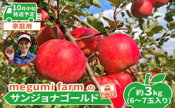 【10月中旬発送】訳あり りんご 糖度14度以上 高糖度 megumi farmのサンジョナゴールド 家庭用 約3kg（6〜7玉入） 果物 フルーツ 産地直送 料理 青森県 鰺ヶ沢町