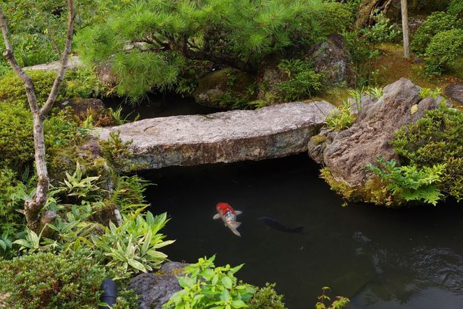 【南禅寺参道 菊水】ホテルギフト券15,000円分｜京都 南禅寺 老舗 料理旅館 人気 宿泊券［ 宿泊ギフト券 割引券 チケット 人気 おすすめ 旅館 ホテル 宿泊 旅行 観光 グルメ ふるさと納税 ］ 261009_A-AAN07