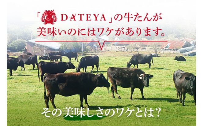 【本場仙台専門店の味】牛タン 切り落とし 250g  | 仙台名物 牛たん 塩味 薄切り 牛肉 牛たん 熟成 牛タン 焼肉 バーベキュー BBQ 小分け お取り寄せ 冷凍 宮城 だてや ダテヤ DATEYA 041009_CL008